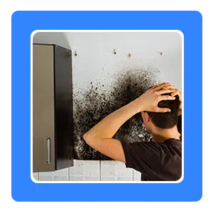 Hollywood Emergency Restoration, Hollywood, FL 954-416-2691 - sb-03